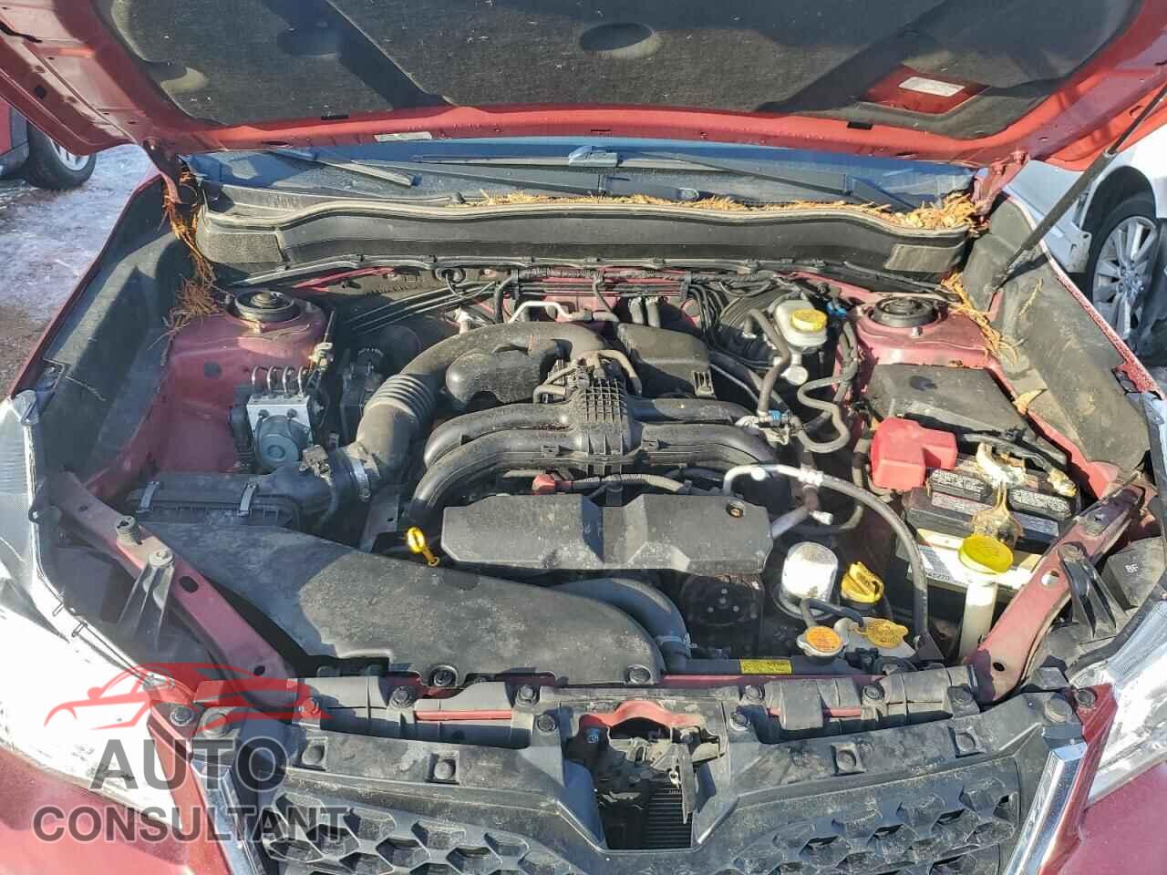SUBARU FORESTER 2014 - JF2SJAAC0EH466865