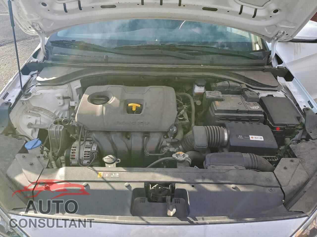 HYUNDAI ELANTRA 2019 - 5NPD74LF8KH442406