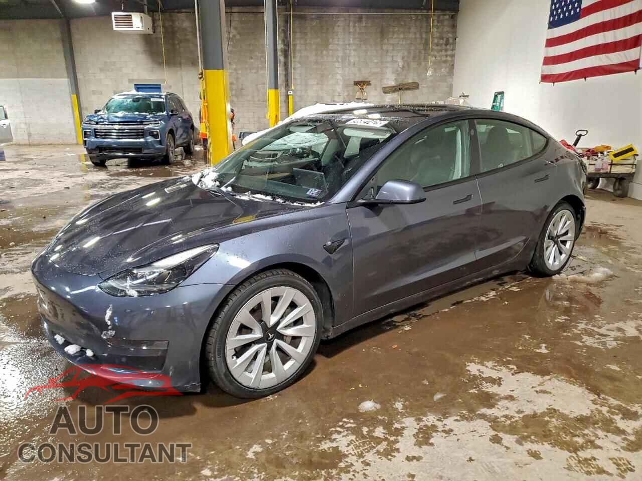 TESLA MODEL 3 2023 - 5YJ3E1EA1PF446921