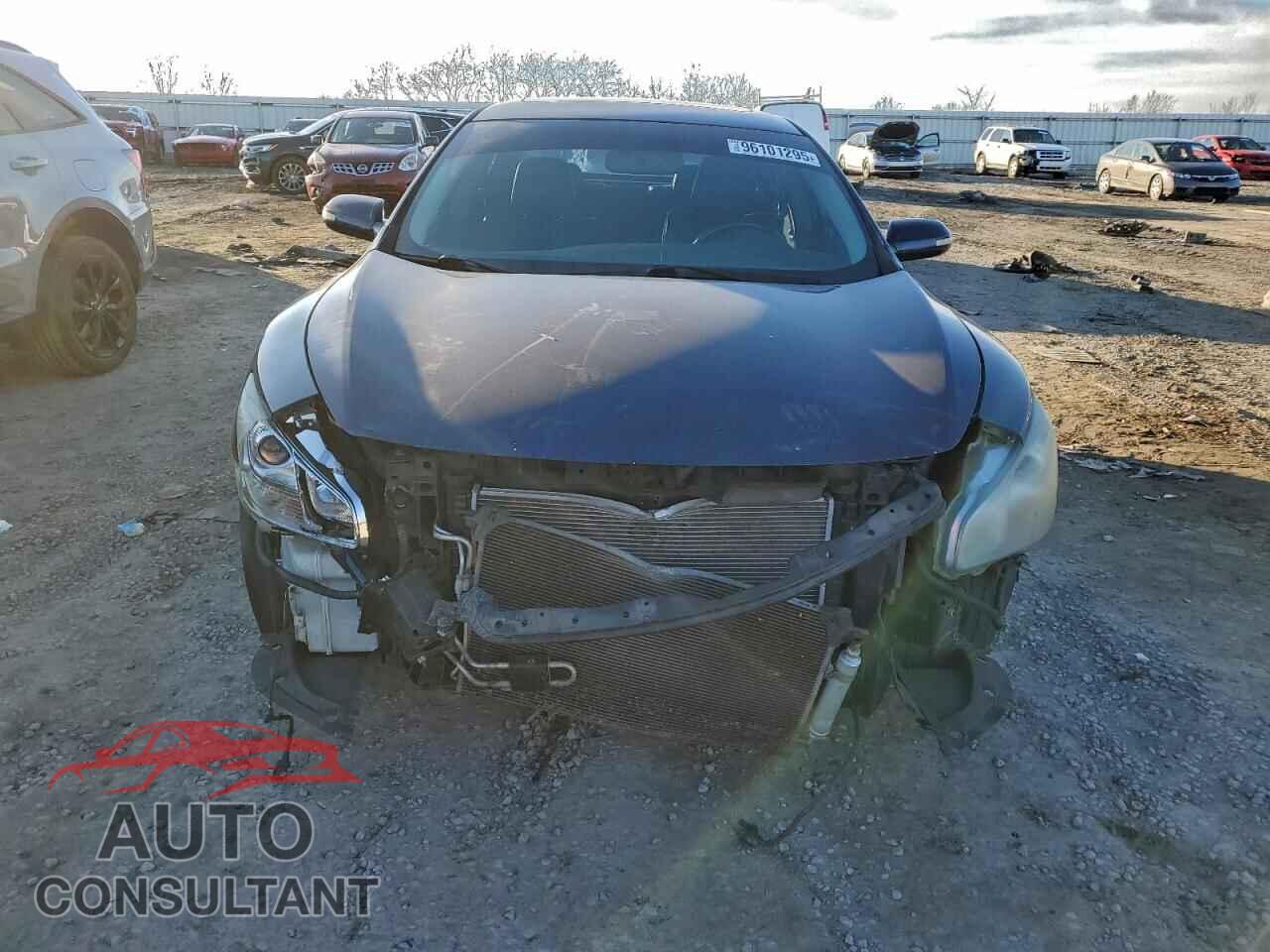 NISSAN MAXIMA 2009 - 1N4AA51E69C828211