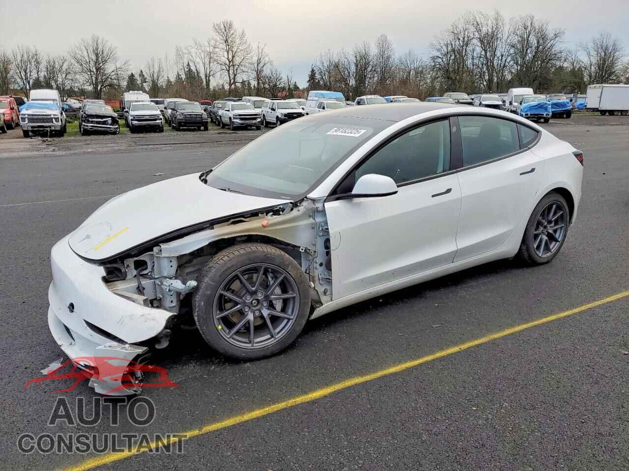 TESLA MODEL 3 2021 - 5YJ3E1EB1MF067986