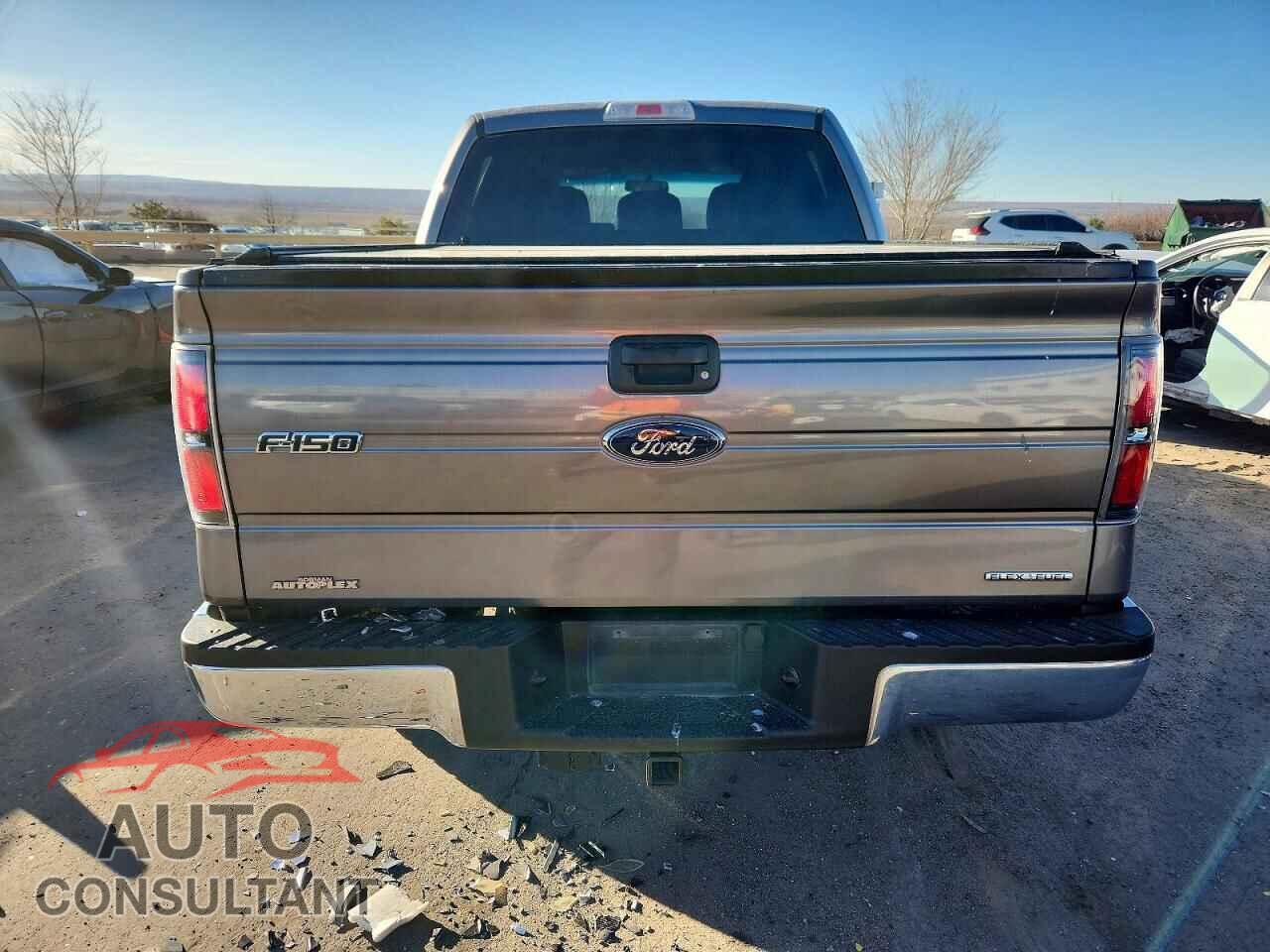 FORD F150 2012 - 1FTEW1CM4CFC35169