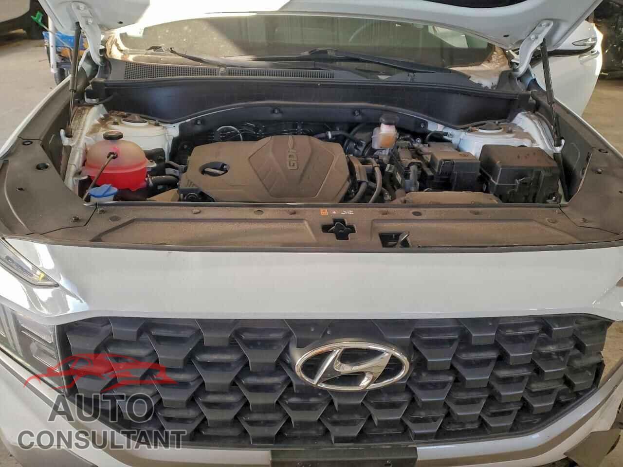 HYUNDAI SANTA FE 2023 - 5NMS24AJ3PH514565