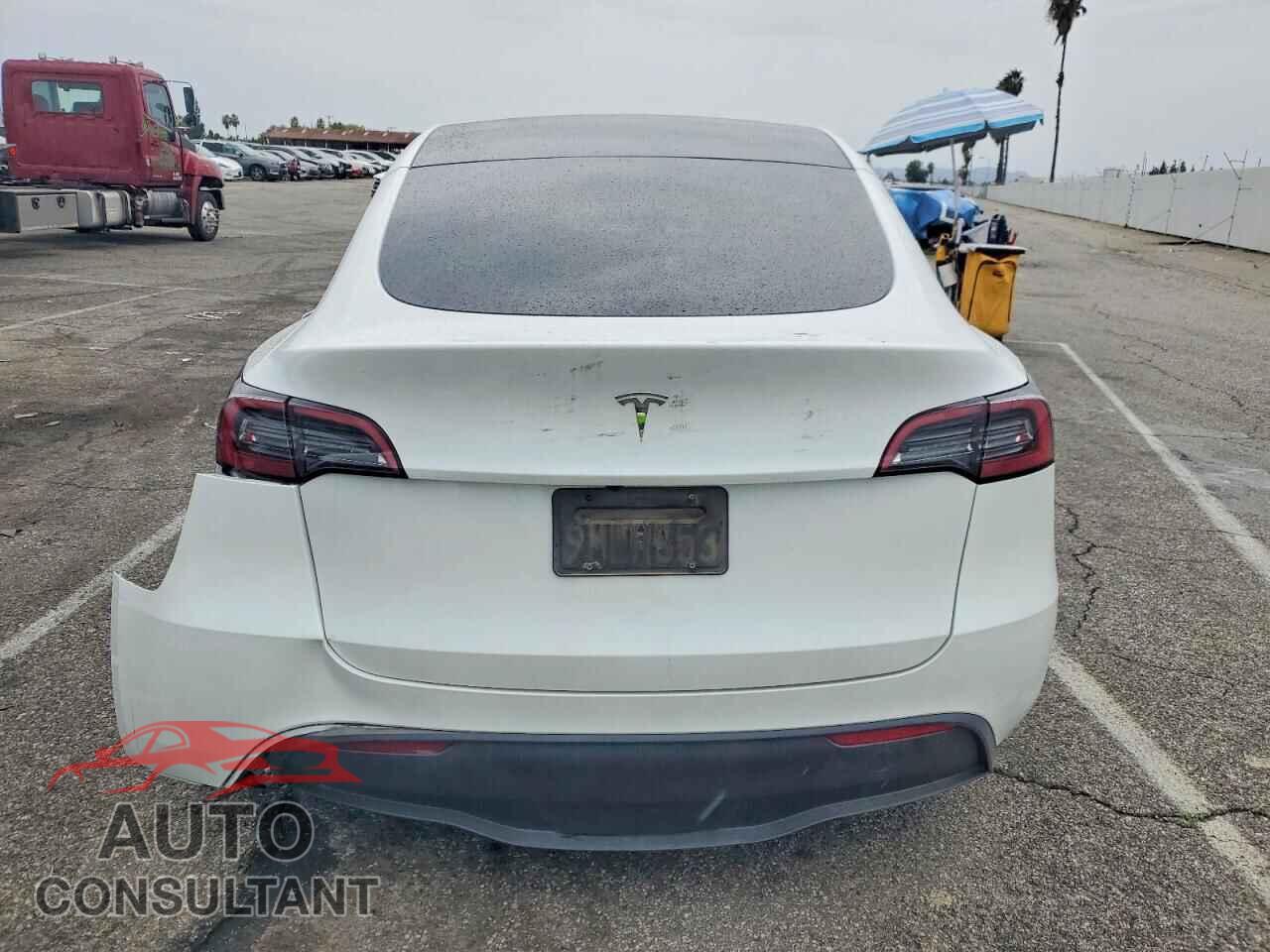 TESLA MODEL Y 2024 - 7SAYGDED7RF096969