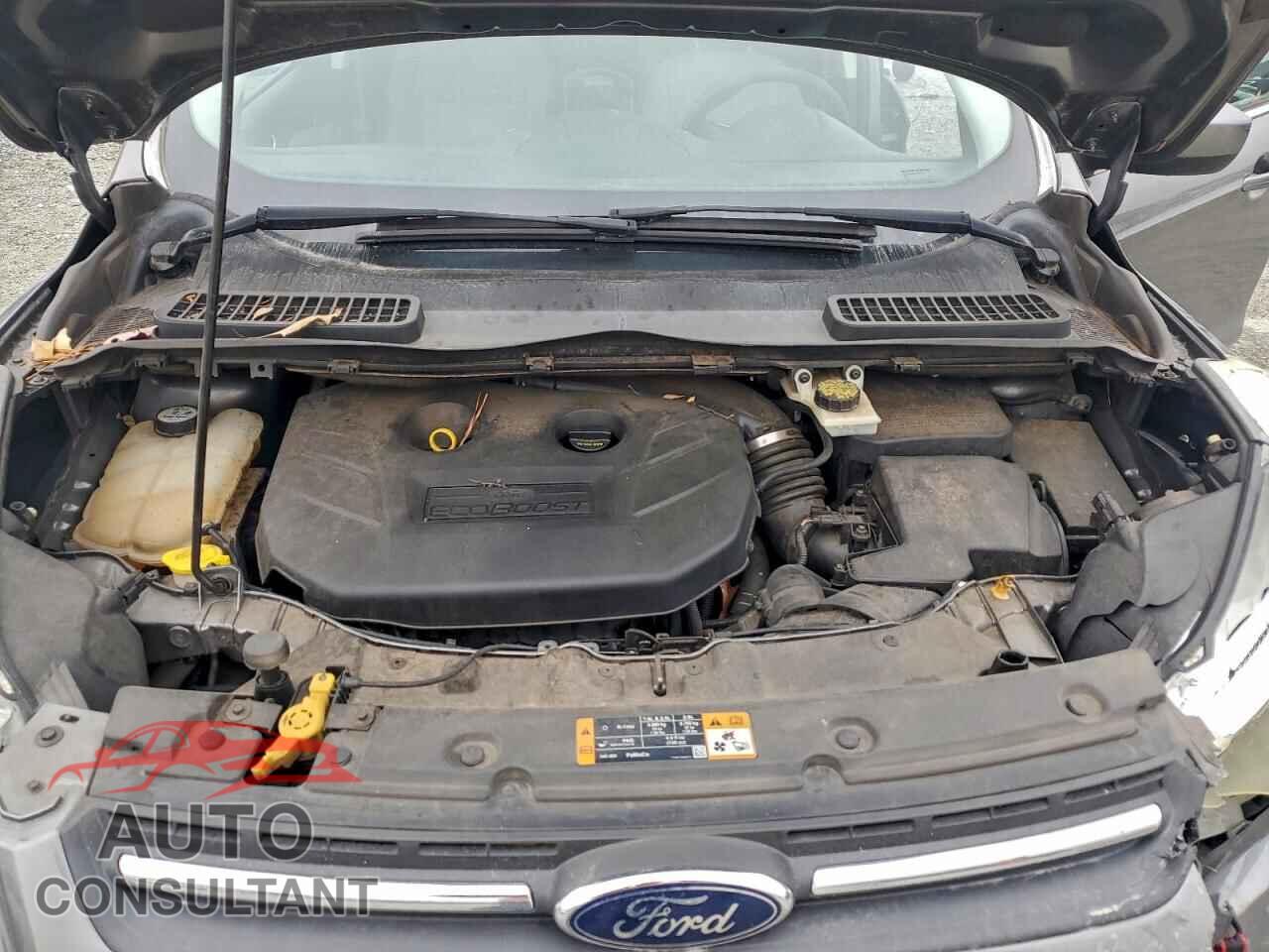 FORD ESCAPE 2013 - 1FMCU0G98DUD07352