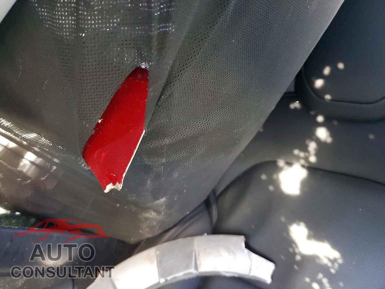TESLA MODEL Y 2026 - 7SAYGDEEXTA395773