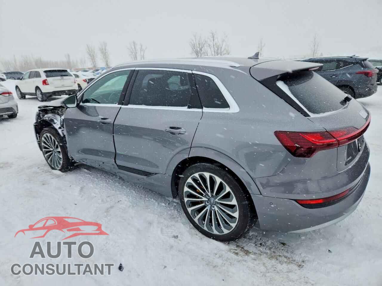 AUDI E-TRON 2019 - WA1VAAGE0KB008742