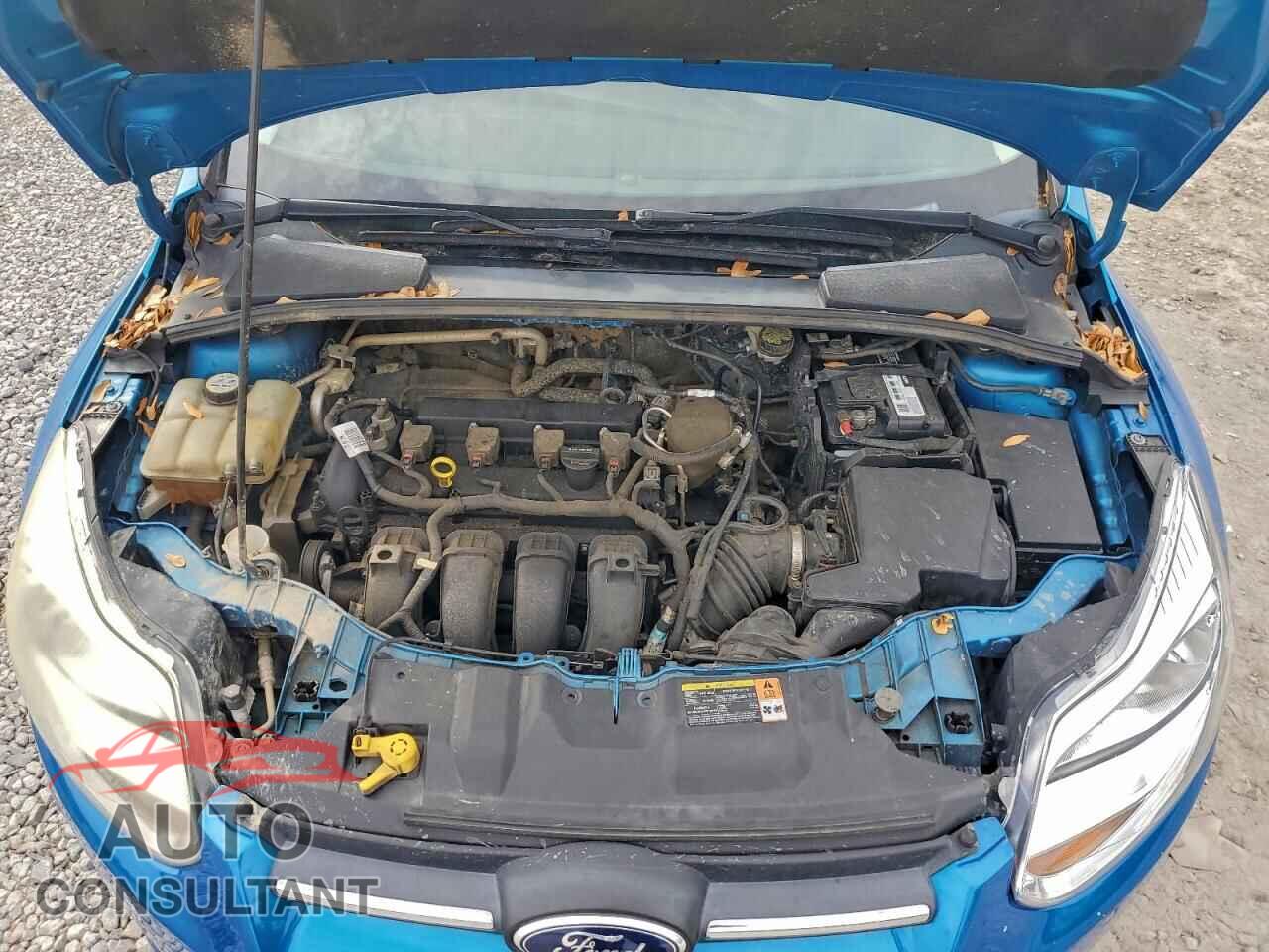 FORD FOCUS 2013 - 1FADP3F21DL244807