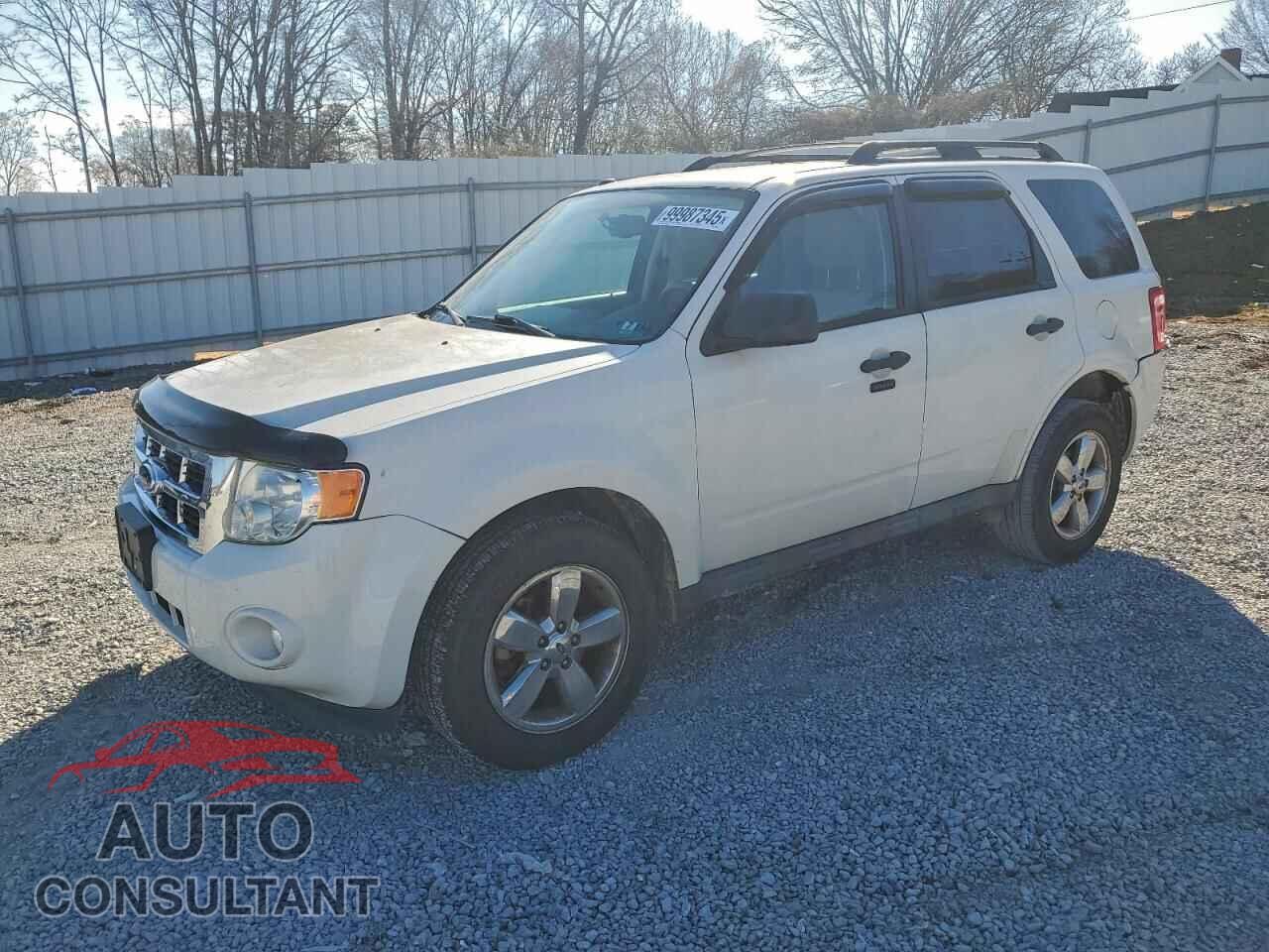 FORD ESCAPE 2011 - 1FMCU9DG2BKB19961