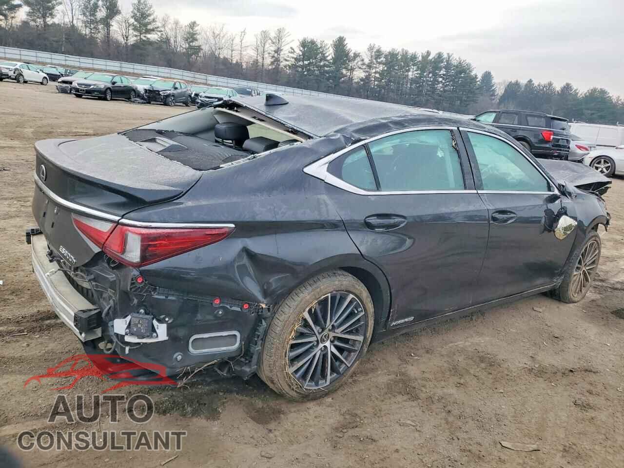 LEXUS ES300 2022 - 58ADA1C17NU020047