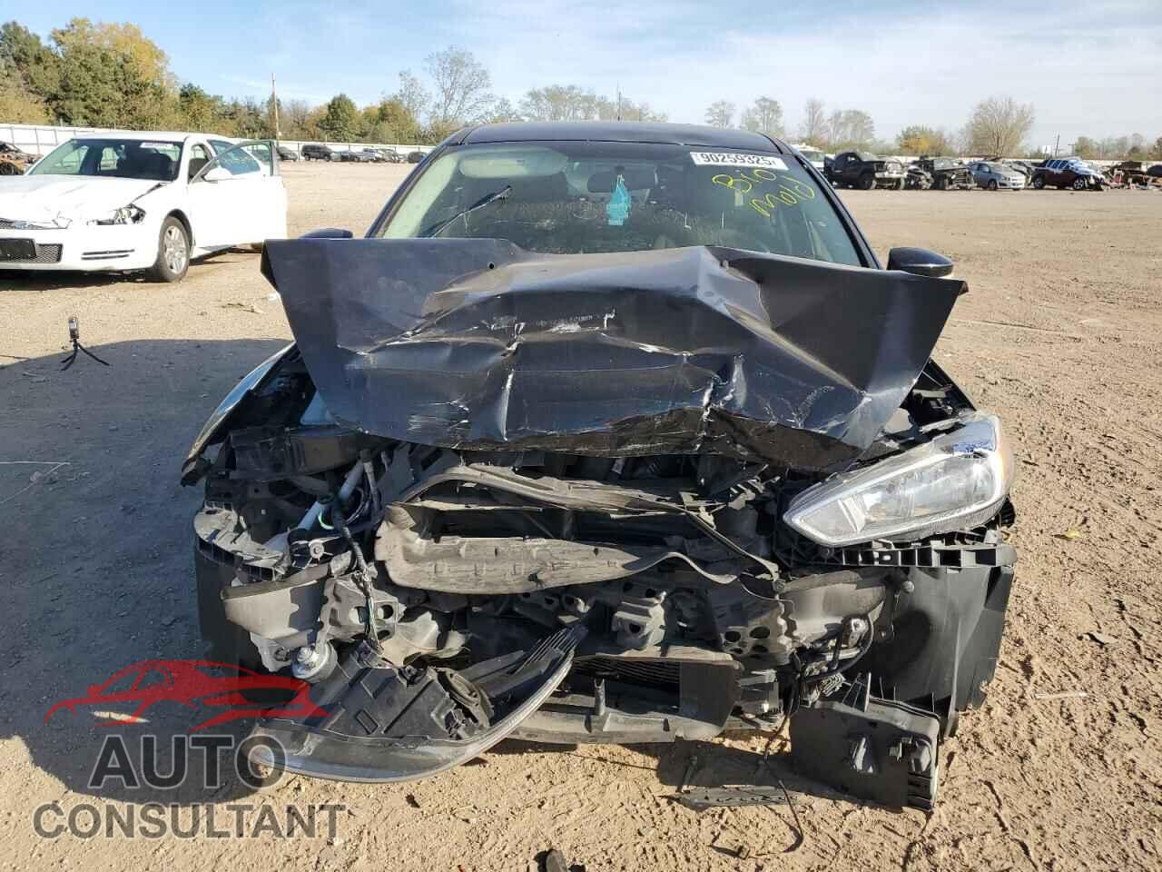 FORD FOCUS 2016 - 1FADP3K24GL294420