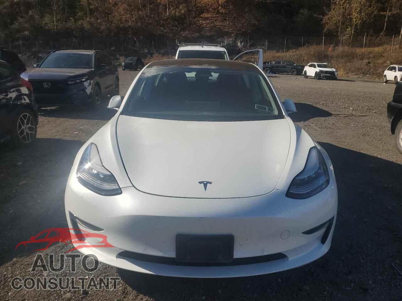 TESLA MODEL 3 2020 - 5YJ3E1EB5LF618063