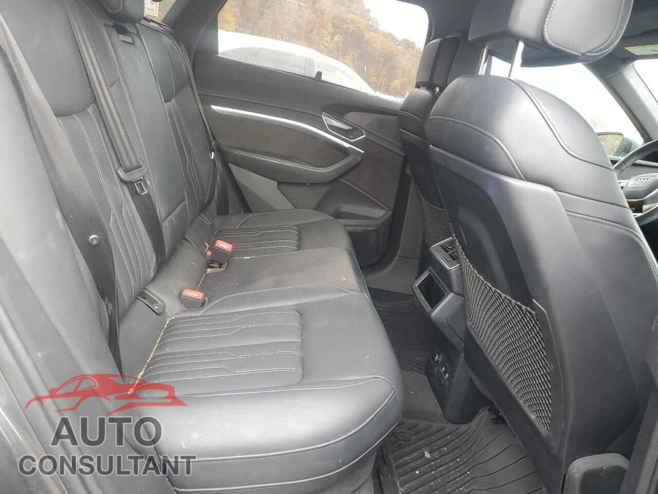AUDI E-TRON 2019 - WA1VAAGE3KB006600