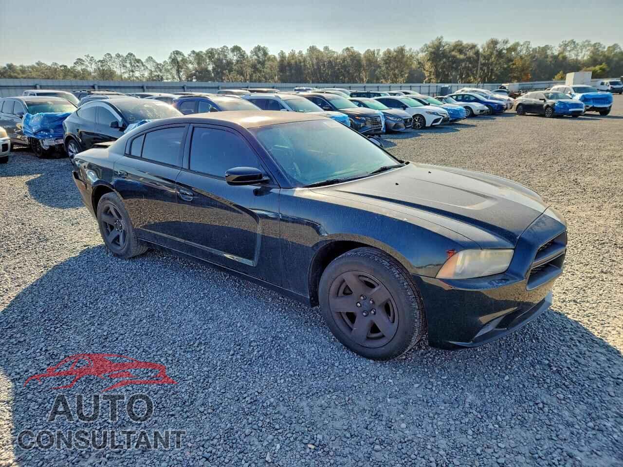 DODGE CHARGER 2014 - 2C3CDXAG4EH287694