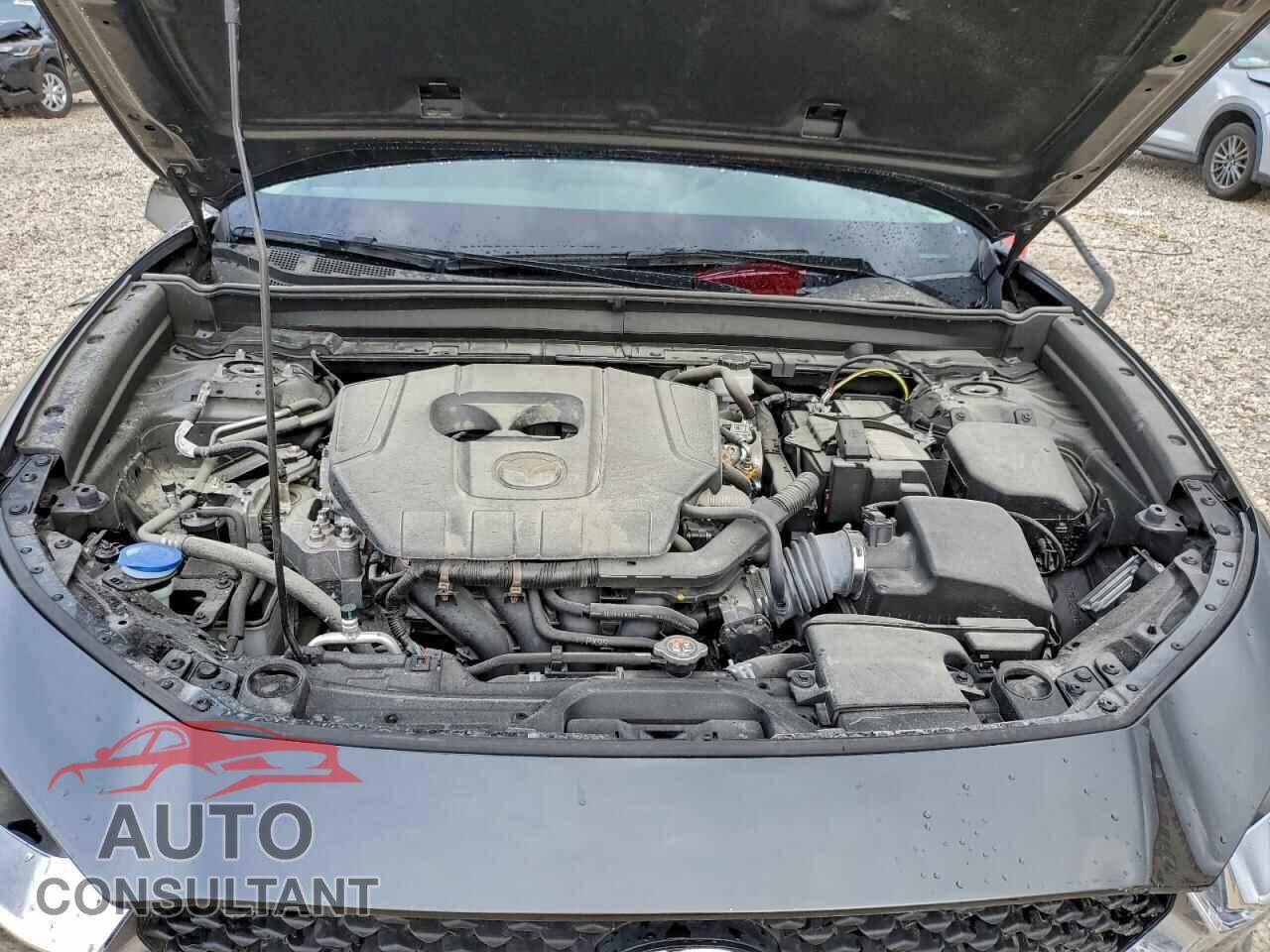 MAZDA CX30 2024 - 3MVDMBBM5RM610941