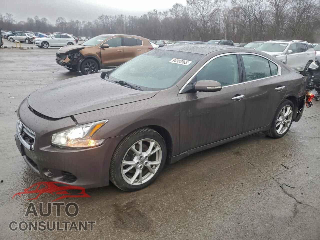 NISSAN MAXIMA 2014 - 1N4AA5AP9EC469061