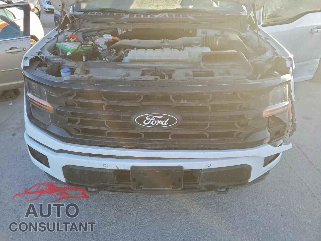 FORD All Models 2024 - 1FTFW3LD7RFA04615