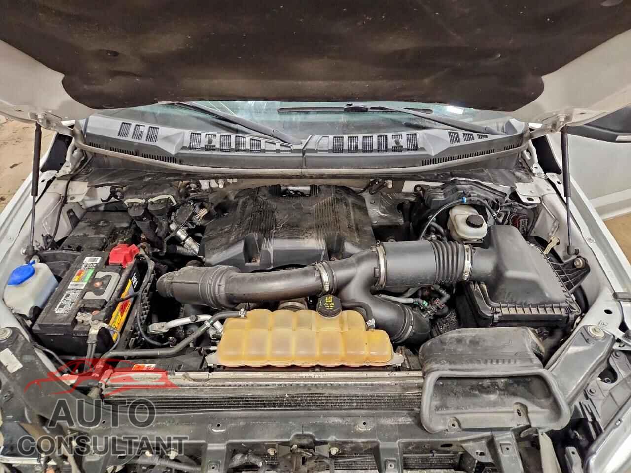 FORD F-150 2017 - 1FTEW1EG8HFC38915