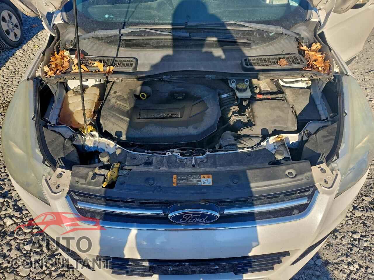 FORD ESCAPE 2013 - 1FMCU0H96DUC33587