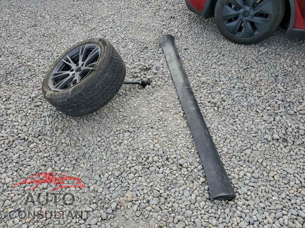 TESLA MODEL Y 2024 - 7SAYGDEE1RF159363