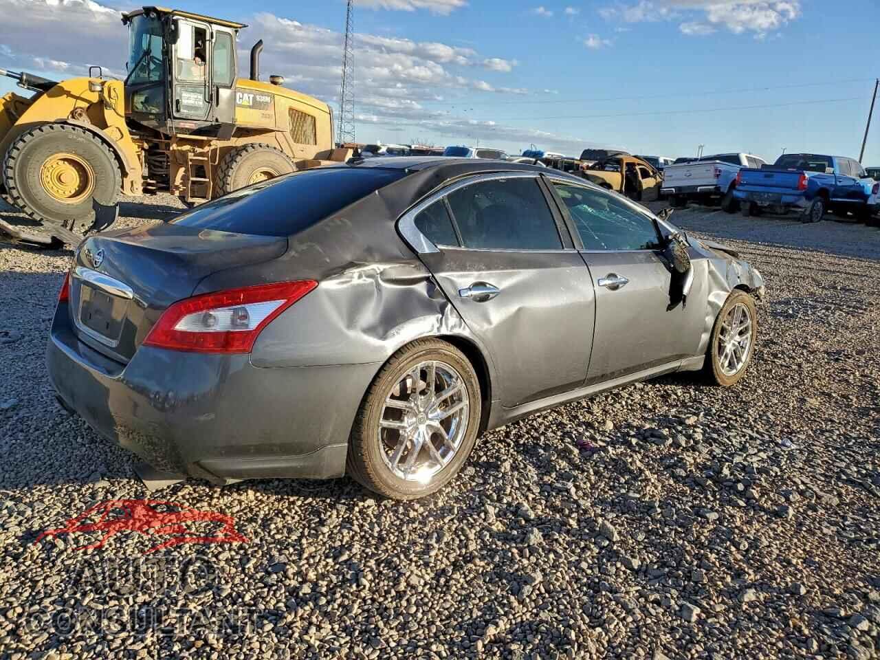 NISSAN MAXIMA 2010 - 1N4AA5AP1AC834309