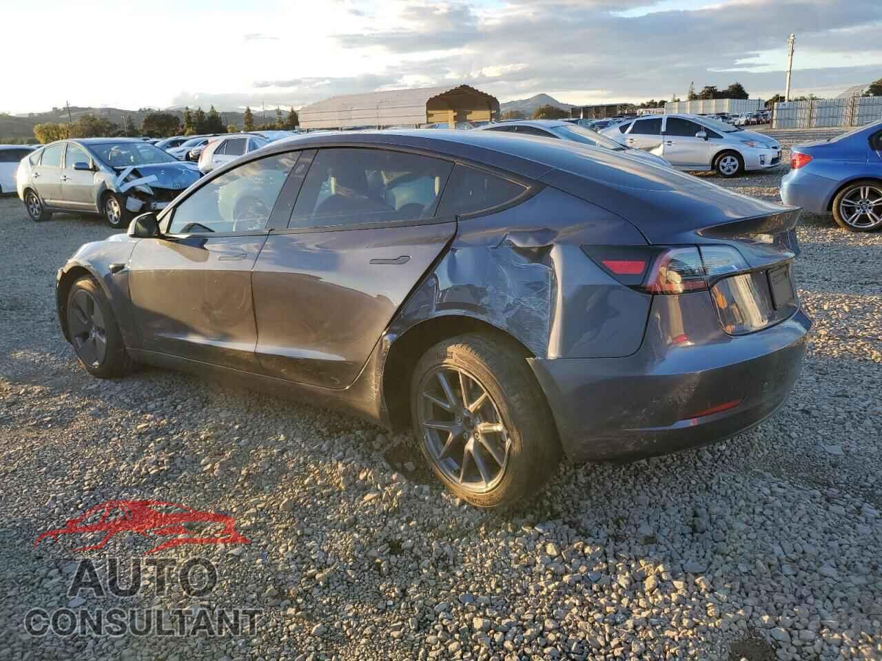 TESLA MODEL 3 2023 - 5YJ3E1EA7PF456823