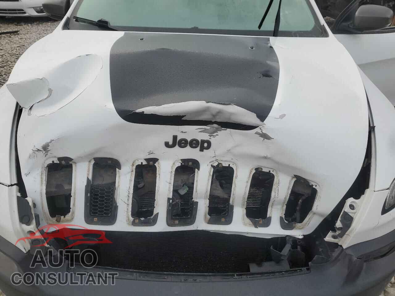 JEEP CHEROKEE 2014 - 1C4PJMBS0EW191621