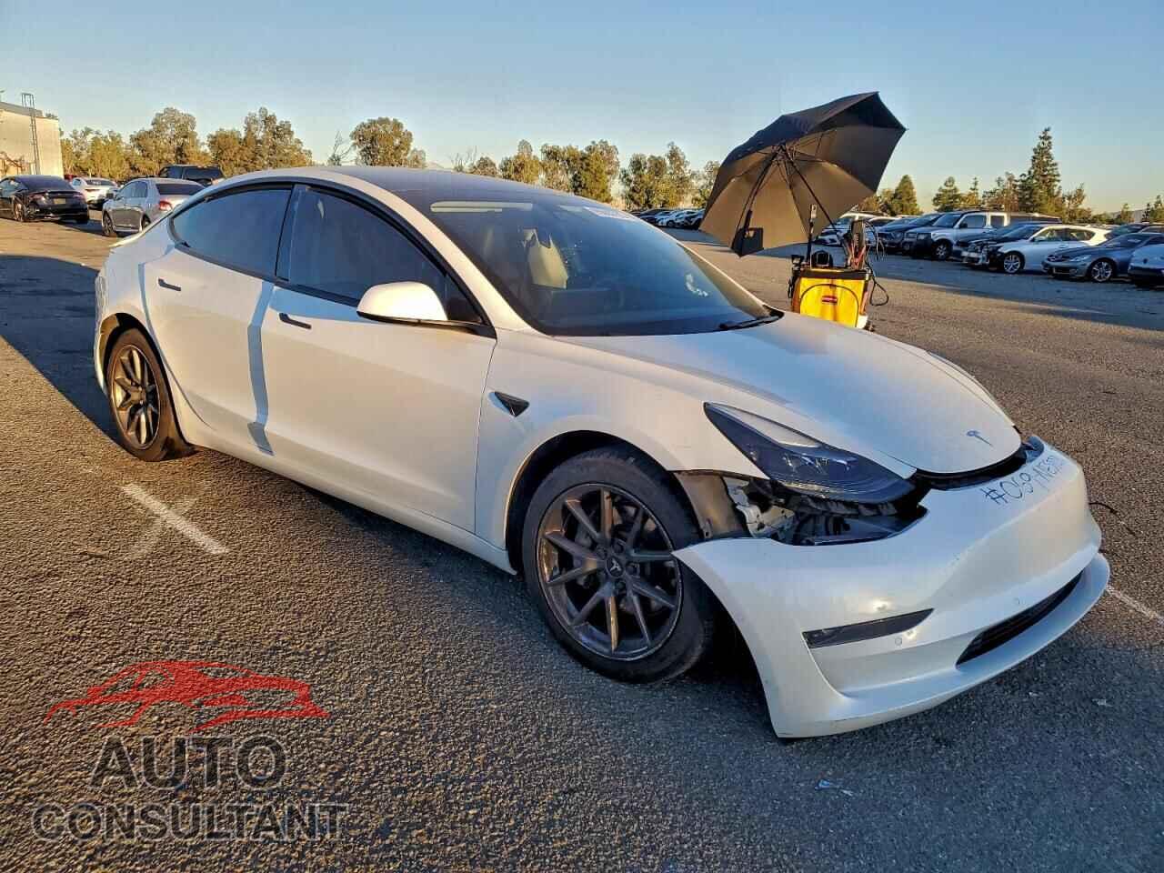 TESLA MODEL 3 2021 - 5YJ3E1EA2MF874086