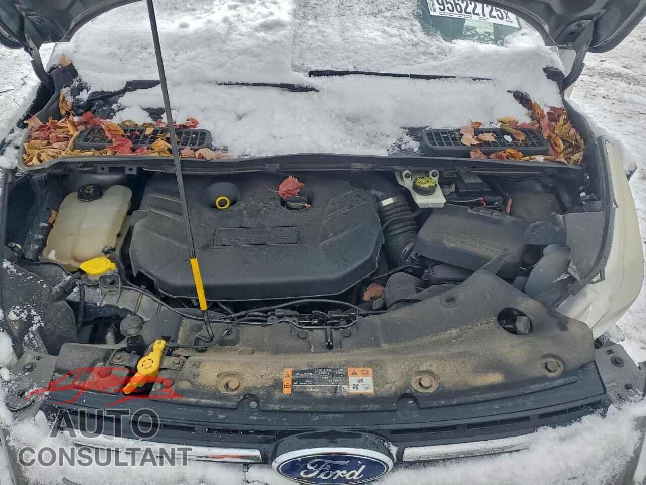 FORD ESCAPE 2014 - 1FMCU0J98EUE50683