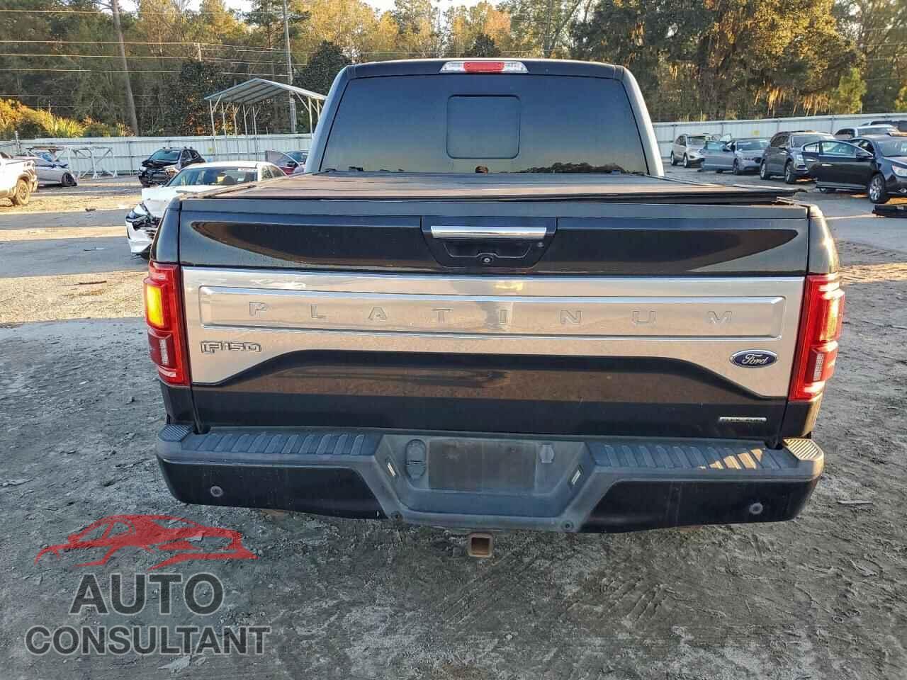 FORD F-150 2015 - 1FTEW1EF2FFA84156