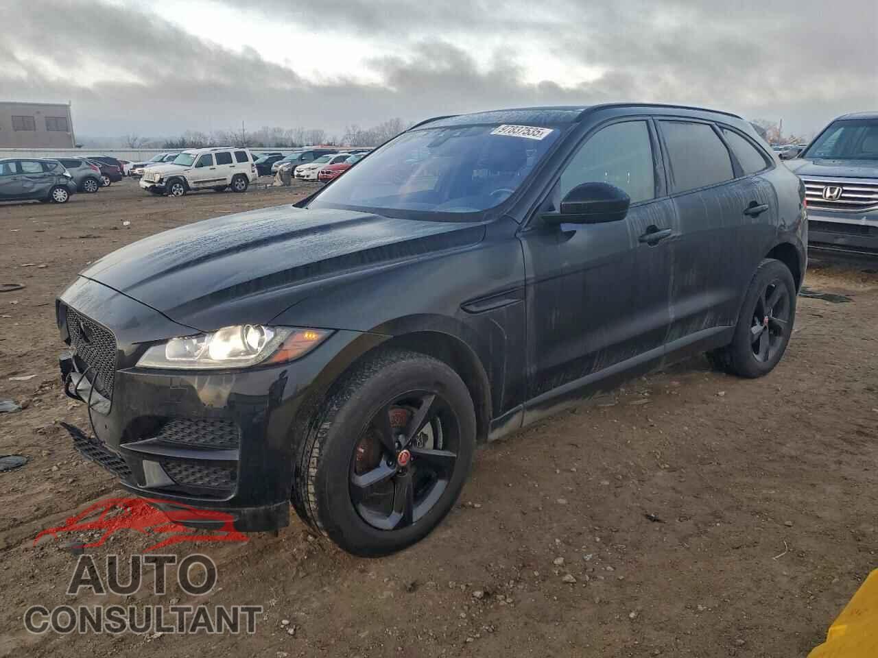 JAGUAR F-PACE 2020 - SADCK2FX2LA661748