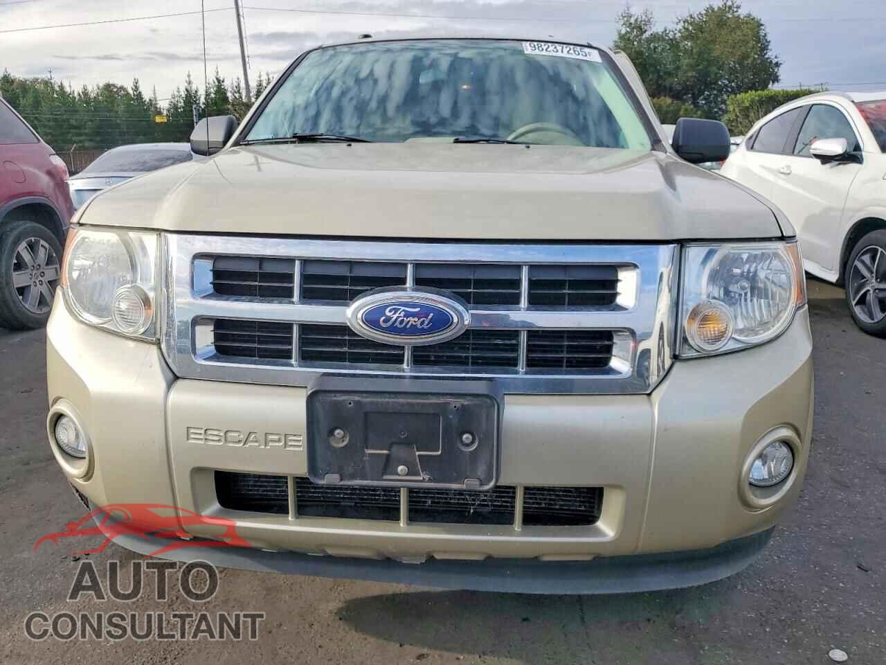 FORD ESCAPE 2011 - 1FMCU0DG0BKB91463