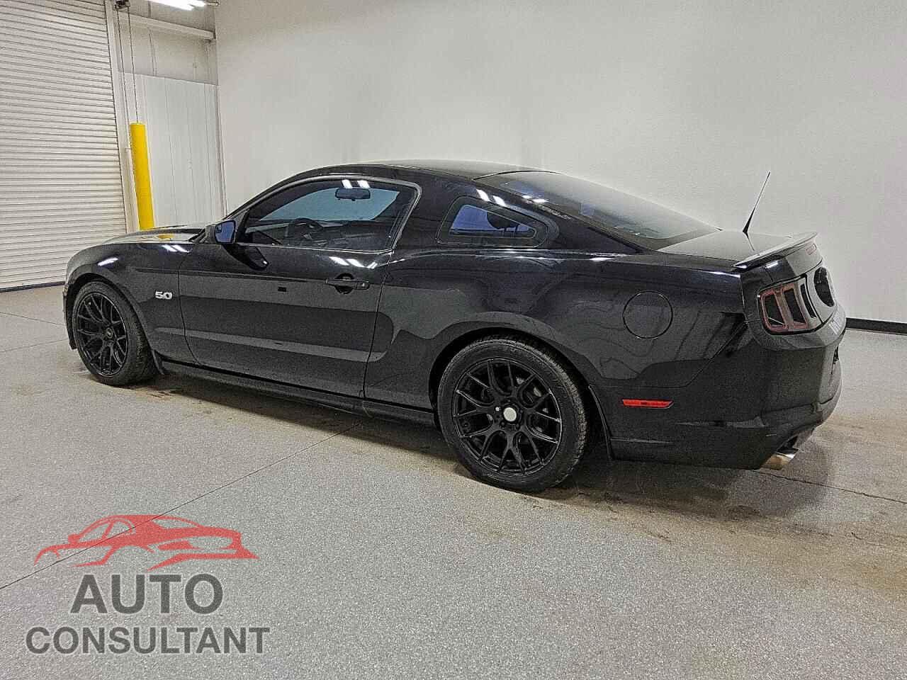 FORD MUSTANG 2014 - 1ZVBP8CF9E5313445