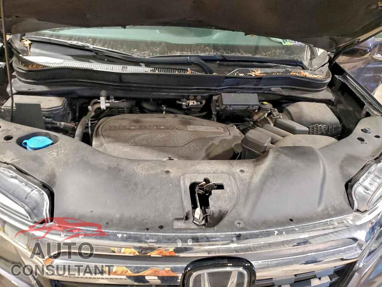 HONDA RIDGELINE 2019 - 5FPYK3F74KB004339