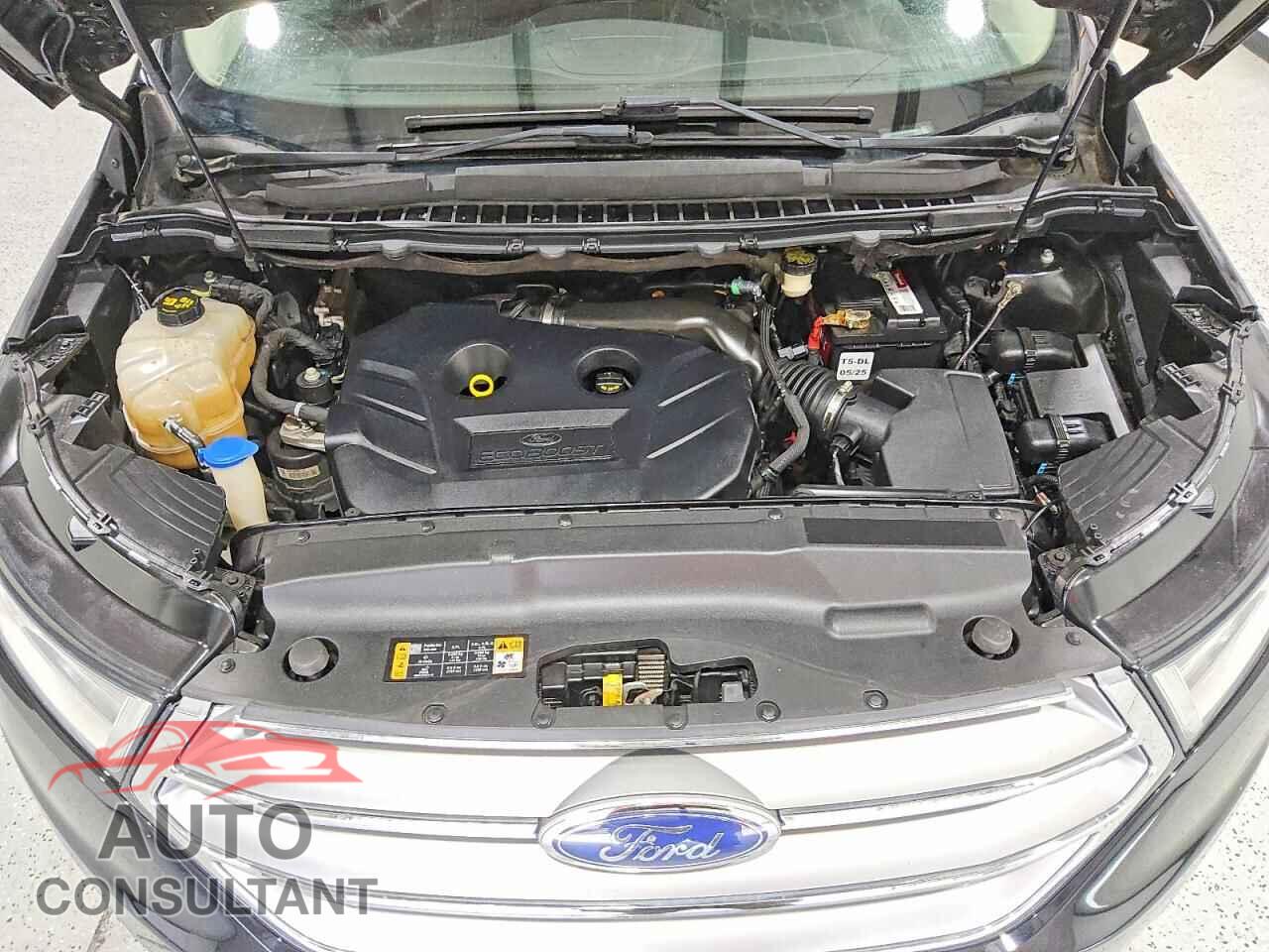 FORD EDGE 2016 - 2FMPK4G95GBC56675