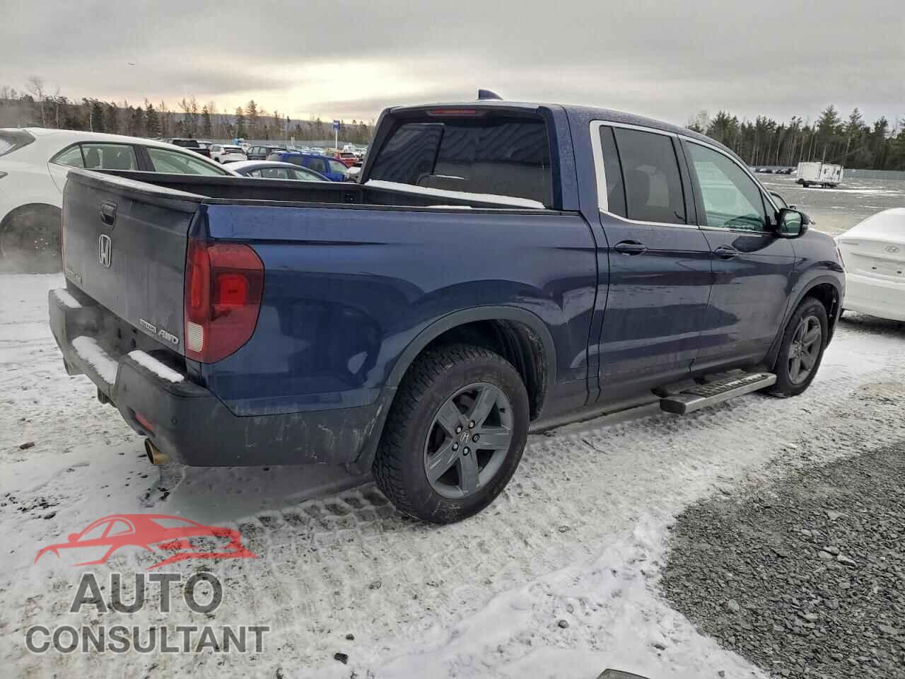 HONDA RIDGELINE 2021 - 5FPYK3F76MB500620