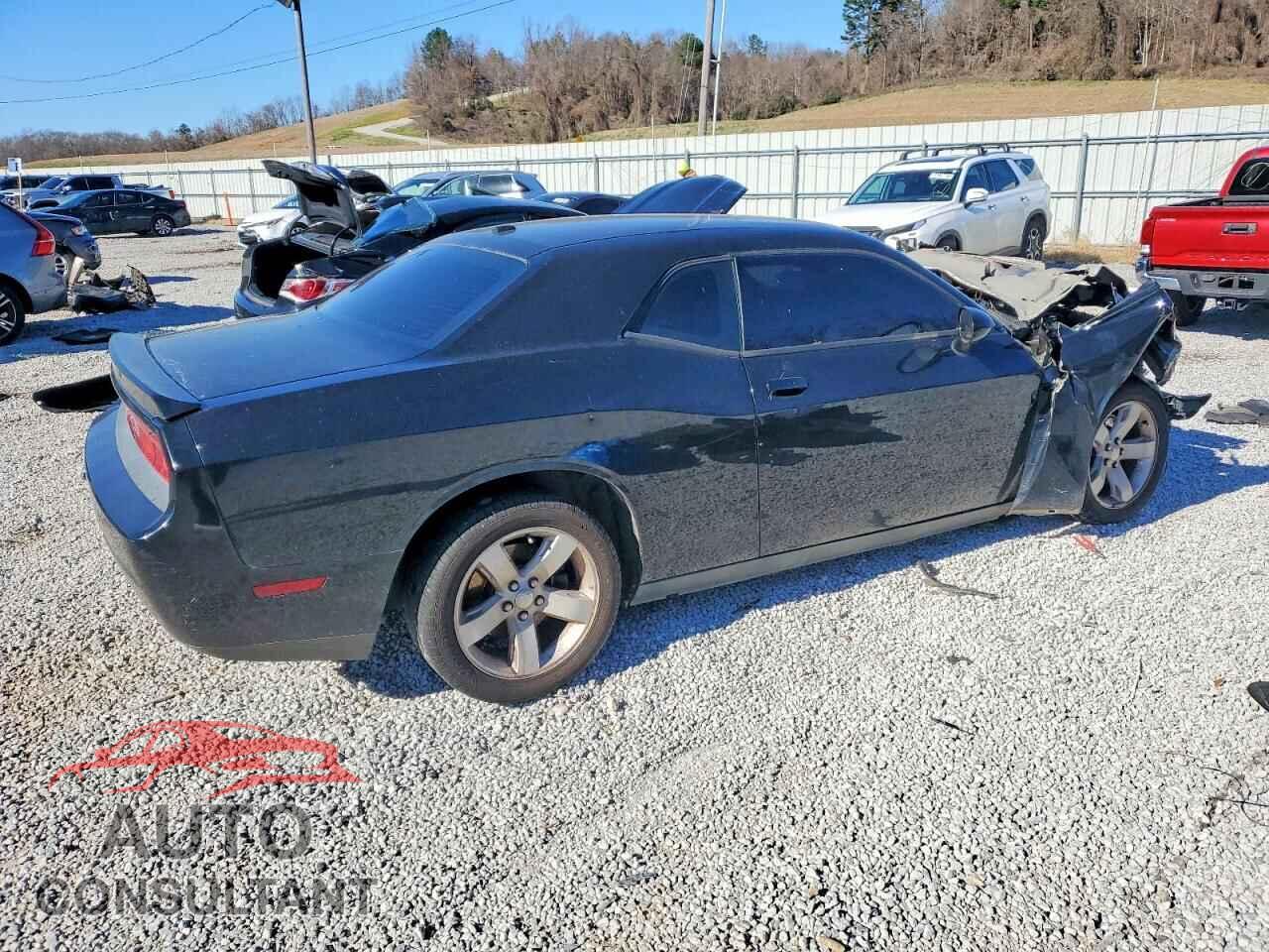 DODGE CHALLENGER 2014 - 2C3CDYBT1EH299237