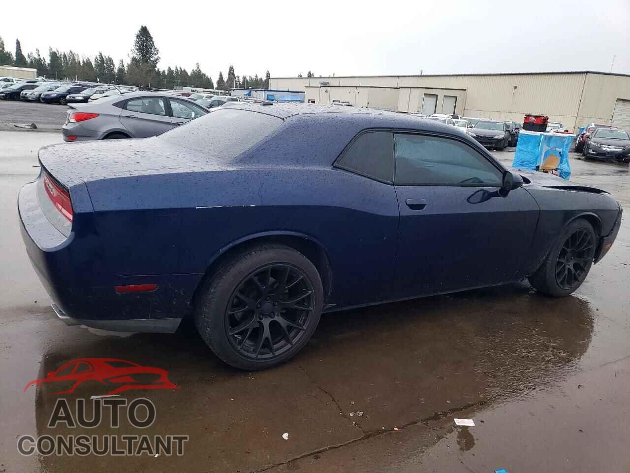 DODGE CHALLENGER 2013 - 2C3CDYAG1DH724037