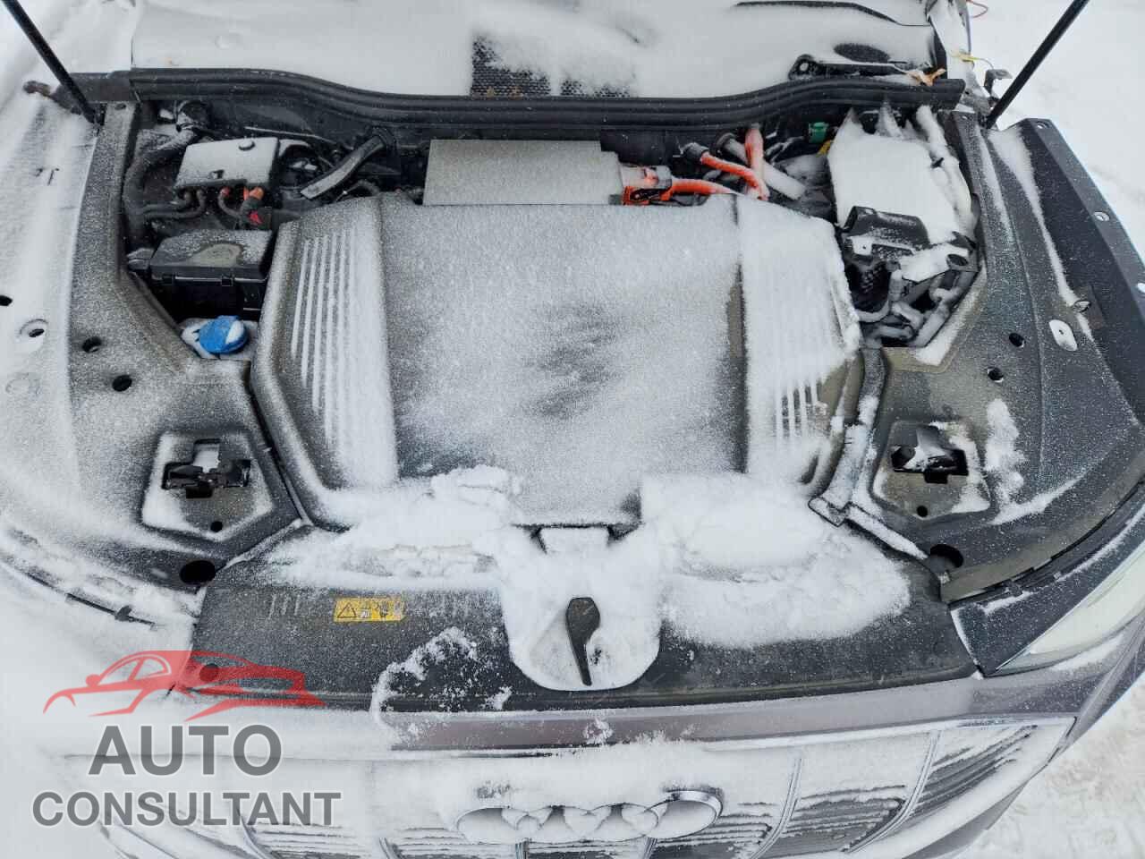 AUDI E-TRON 2019 - WA1VAAGE0KB008742
