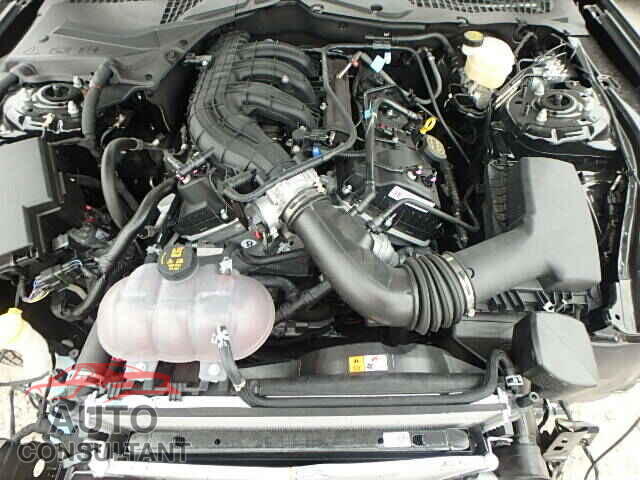 FORD MUSTANG 2015 - 1FA6P8AM6F5313965