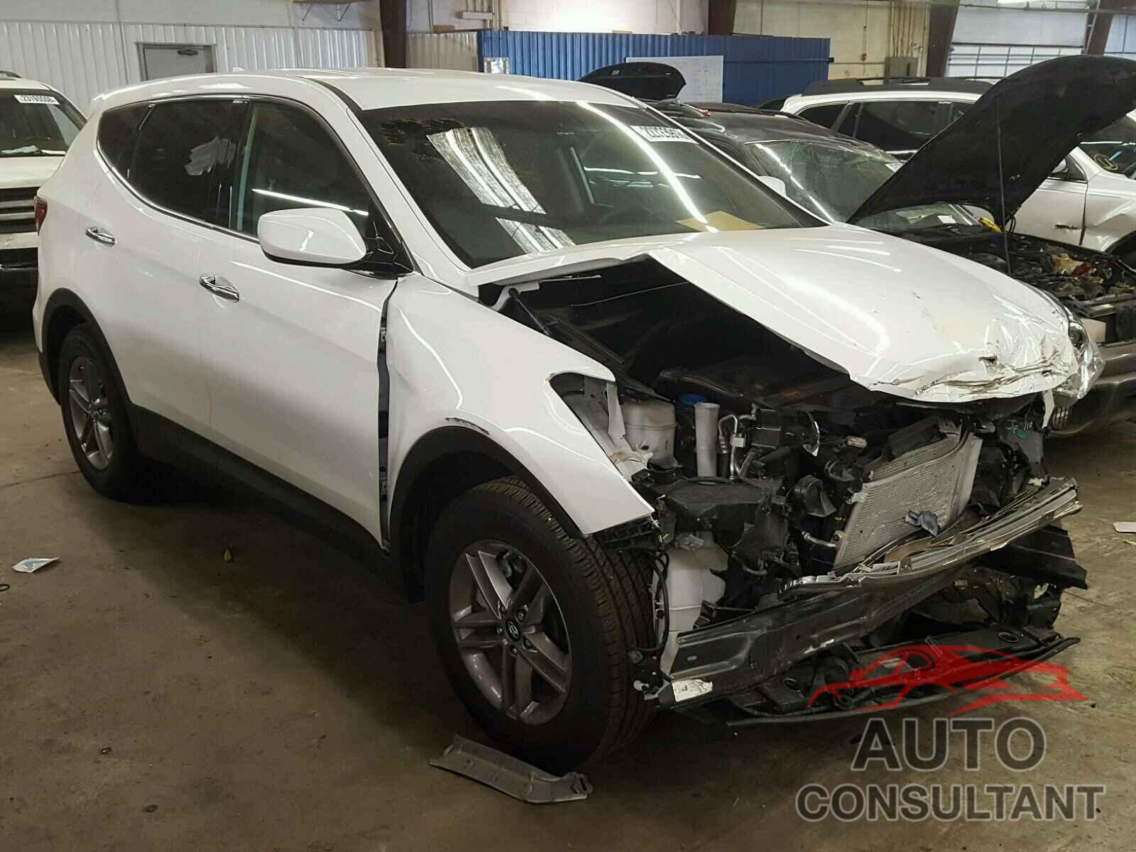 HYUNDAI SANTA FE 2017 - 5NMZTDLB5HH028195