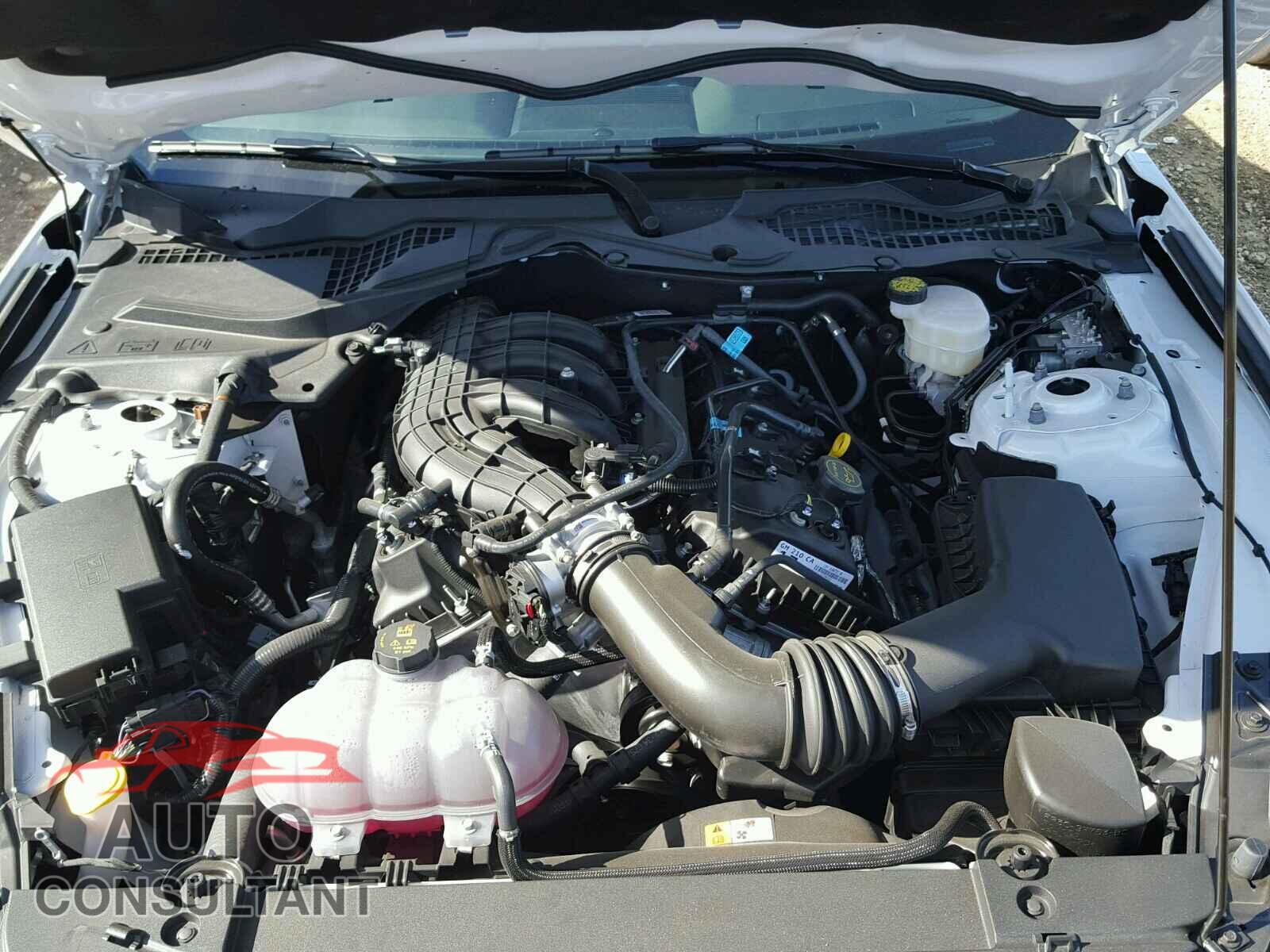FORD MUSTANG 2017 - 1FA6P8AM6H5342935