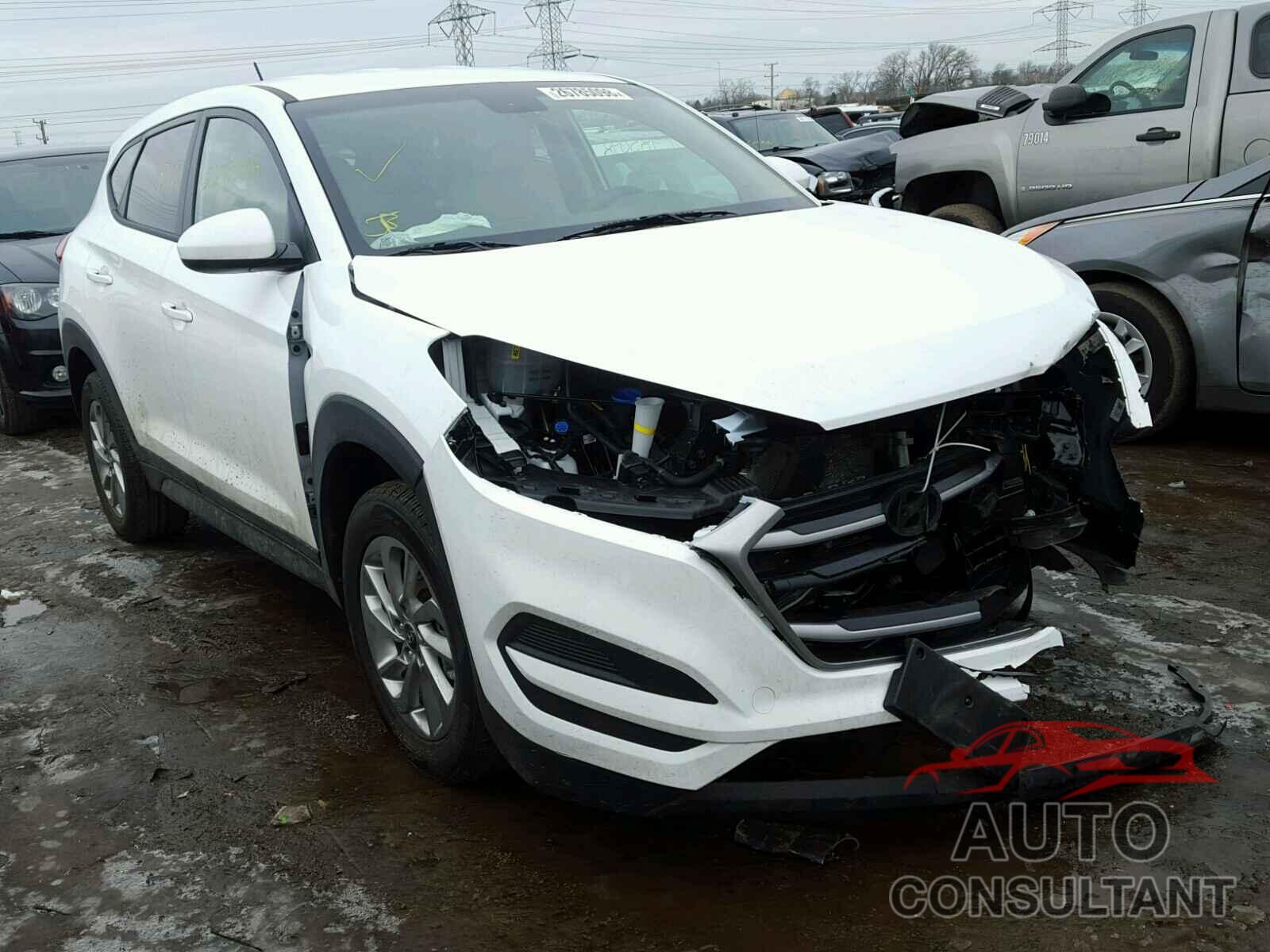 HYUNDAI TUCSON 2017 - KM8J23A45HU502987