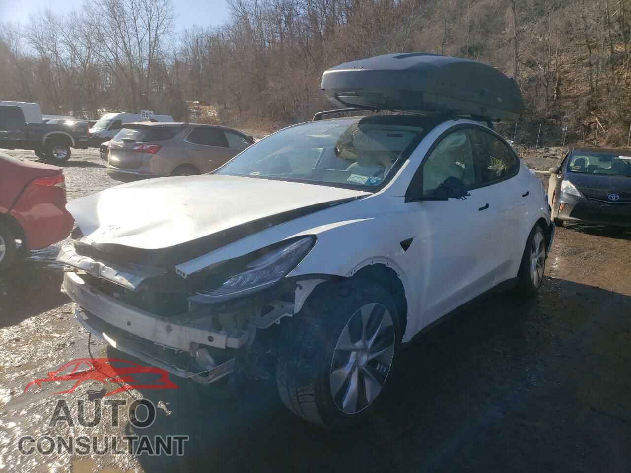 TESLA MODEL Y 2021 - 5YJYGDEEXMF076116