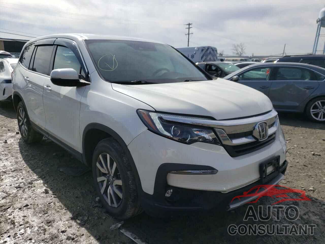 HONDA PILOT 2019 - 5FNYF6H55KB024805