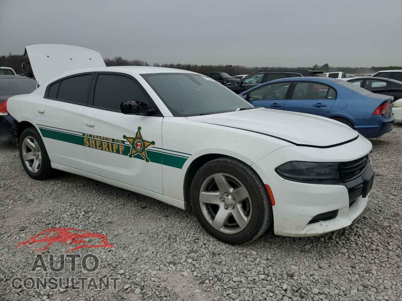 DODGE CHARGER 2019 - 2C3CDXAT3KH616877