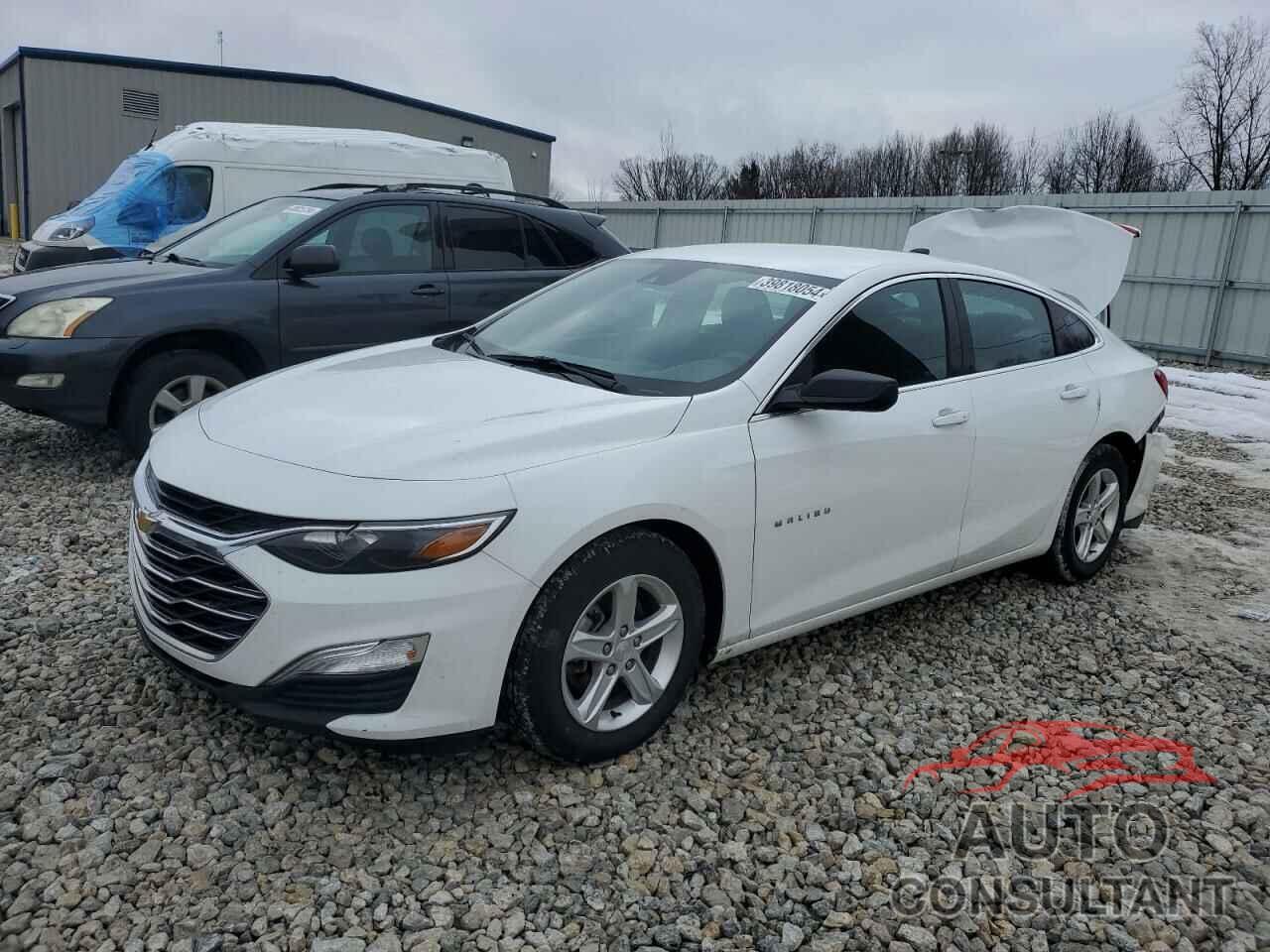 CHEVROLET MALIBU 2023 - 1G1ZC5ST4PF125862