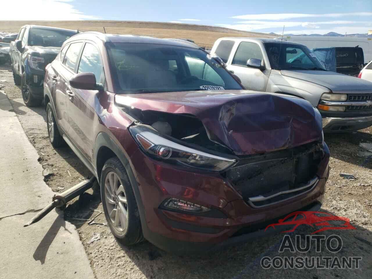HYUNDAI TUCSON 2017 - KM8J33A41HU343155