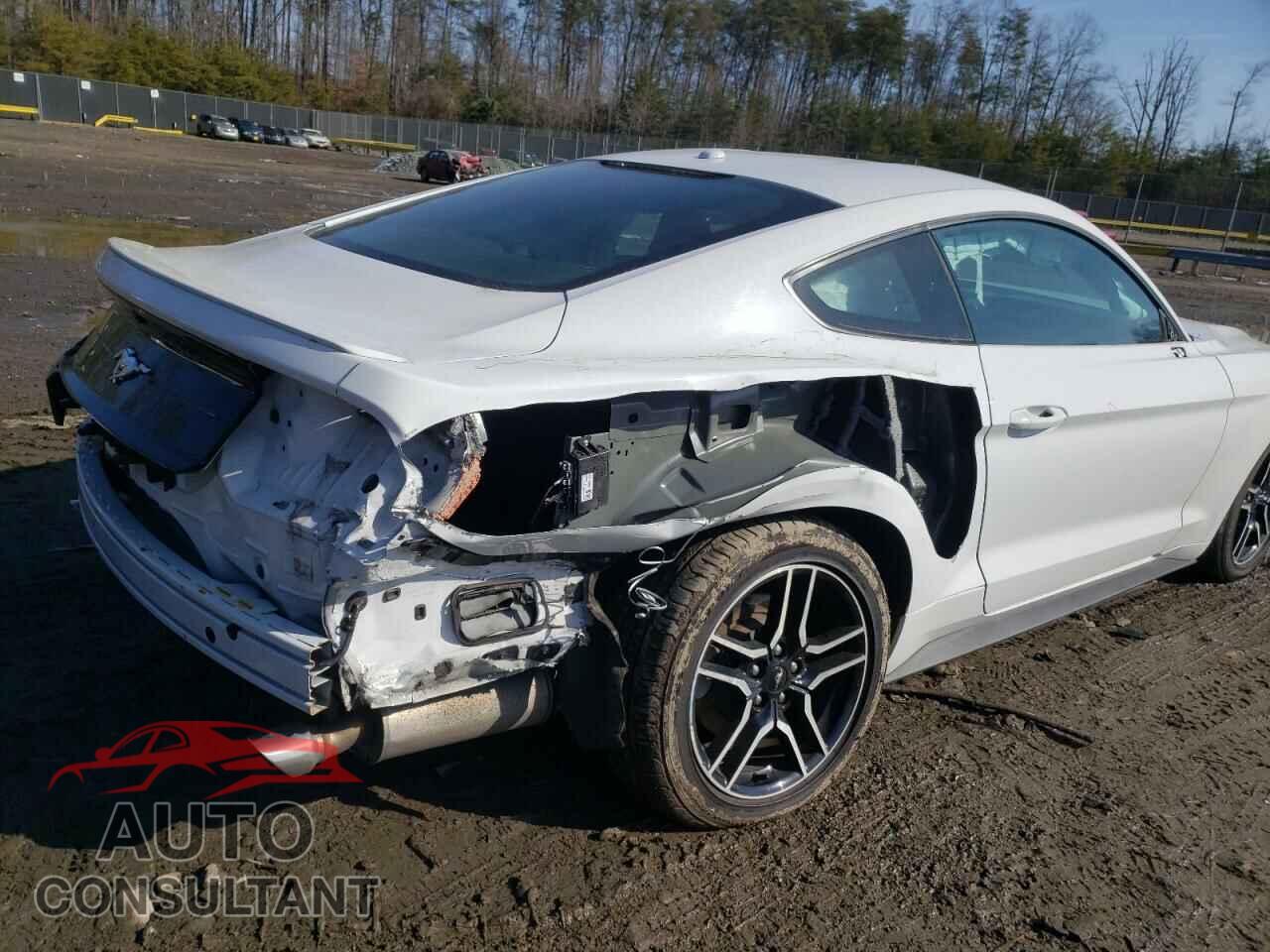 FORD MUSTANG 2019 - 1FA6P8THXK5189953