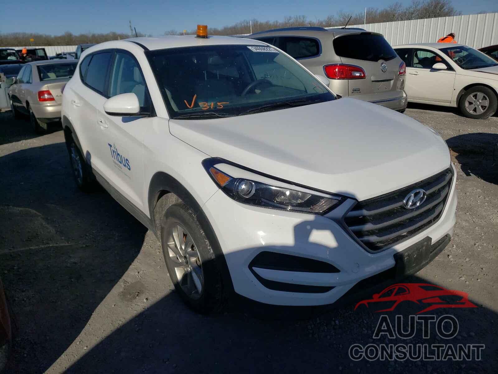 HYUNDAI TUCSON 2018 - KM8J2CA49JU702549